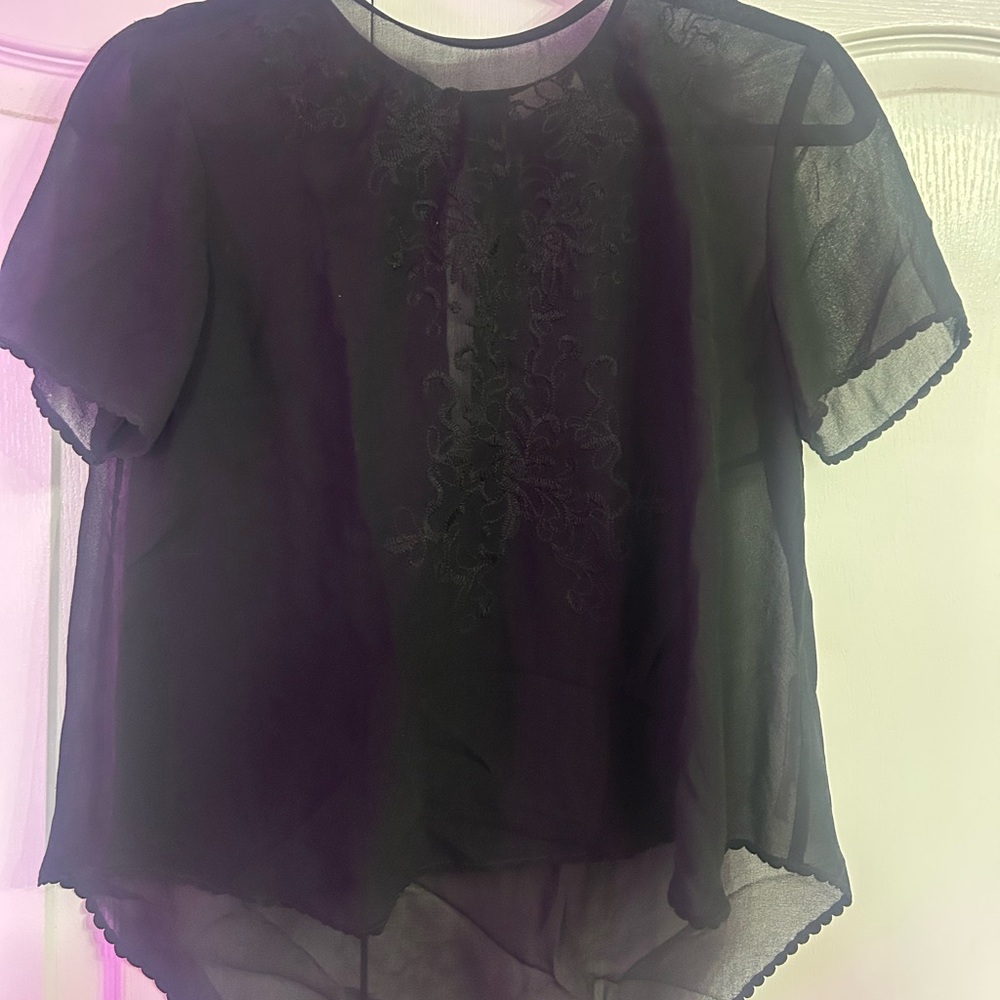 ARITZIA Wilfred sheer black top